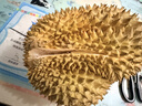 东普立万能空调遥控器通用格力美的海尔海信科龙三菱新科松下康佳TCL华凌遥控板长虹奥克斯志高 实拍图
