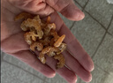 倾海之宴 金钩海米120g 虾仁干 淡干不咸大开洋虾米虾皮虾干 海产干货煲汤 实拍图