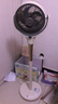 艾美特（AIRMATE）【全屋循环】电风扇空气循环扇大风力家用AI语音遥控卧室一级能效直流变频安静轻音落地扇 SRD259 实拍图