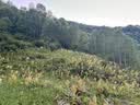 Naturehike挪客户外多功能8字登山扣铝合金S型水壶灯包挂扣挂钥匙挂钩链接环 红色/中号（2个装） 实拍图