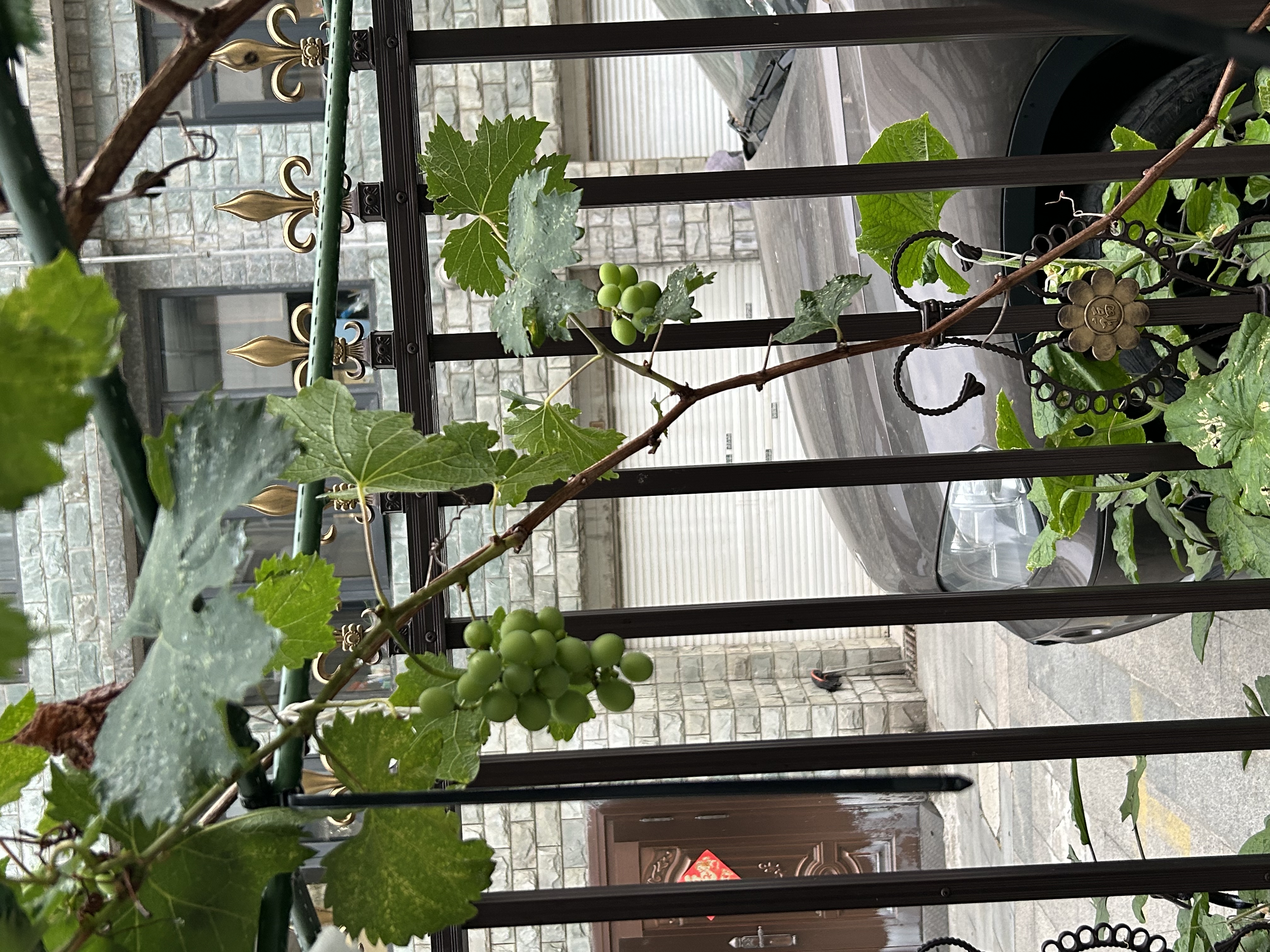 松下空调【外机1.5排纯铜管】挂机松之舞1.5匹一级能效变频冷暖省电独立除湿自清洁健康风HZ35K410Q 实拍图