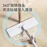 京东京造免手洗平板拖把36cm P20家用拖地神器一拖净洗拖一体含拖布*2 实拍图