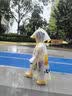 甜甜仔儿童雨衣幼儿男女童防水全身幼儿园防雨服小童女孩3-6岁宝宝雨披 实拍图