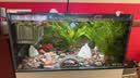 尼奥光（NEO-HELIOS）鱼缸灯水草灯LED灯S3pro+RGB植物光谱 【二代加长款】13wS3pro+加长24厘米 实拍图