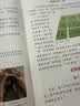 阳光同学 2026秋新版 博物课堂二年级上册 小学年级阅读语文人教版同步教材课内外拓展阅读必读 百科知识文化常识 开学季 实拍图