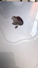 Apple/苹果AI/MacBook Air13英寸M5 (10+10核) 24G 1T天蓝色笔记本电脑MDHK4CH/A 实拍图