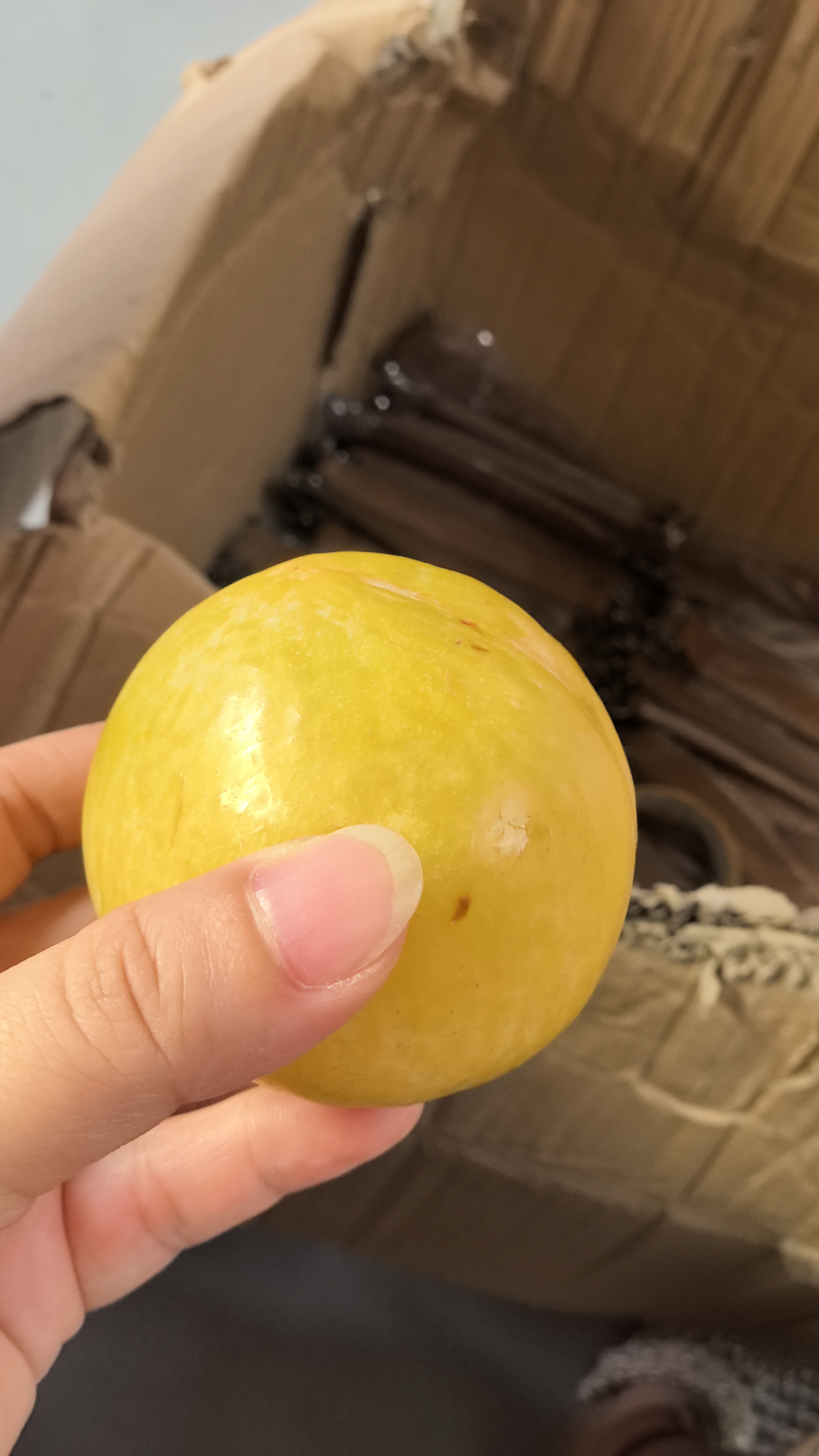 志高（CHIGO）小冰柜家用冷冻小型一级节能省电迷你卧式冷藏保鲜储母乳冷柜 【一级能效 全国联保】 138L 白微霜款 实拍图