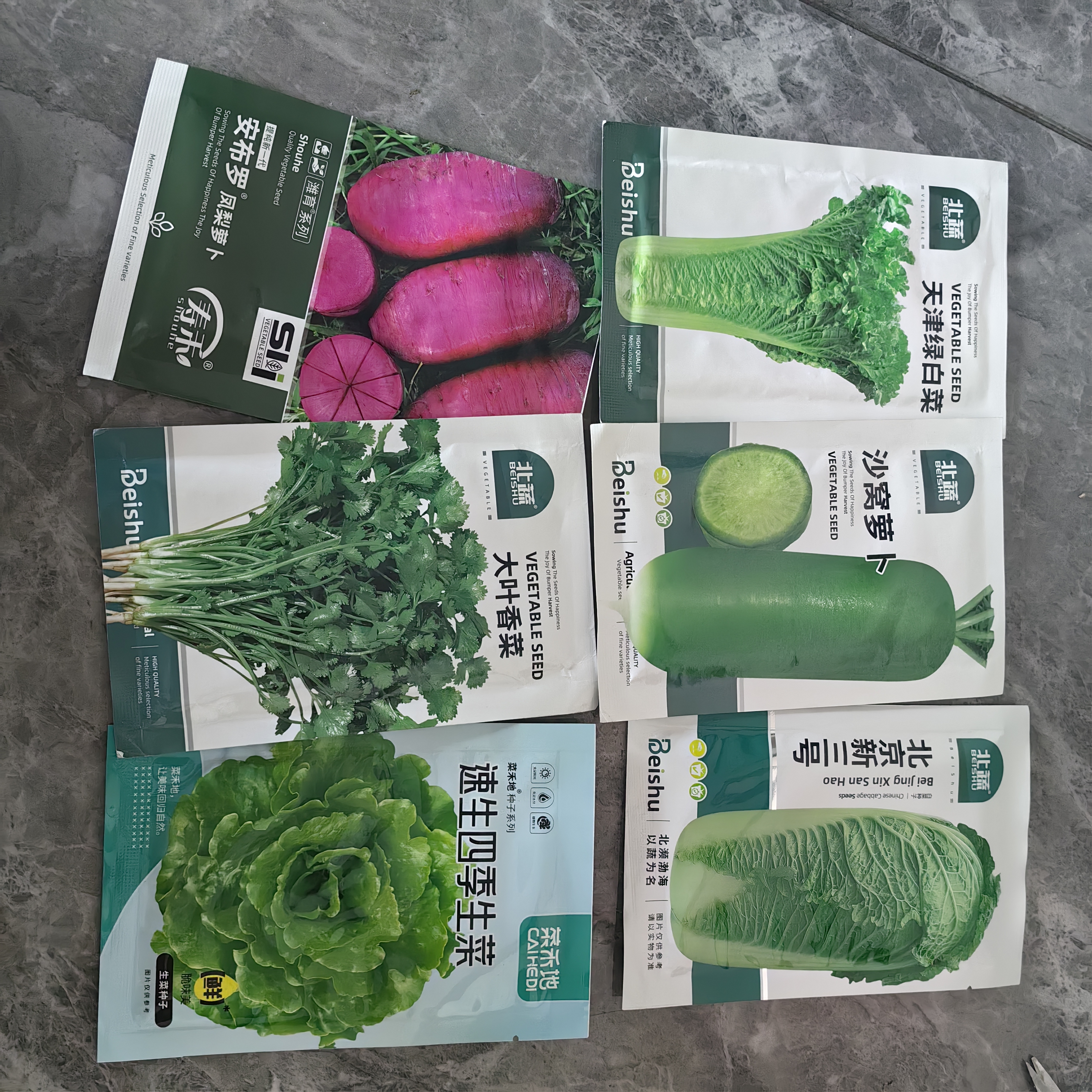 北蔬 萝卜种子苗水果青萝卜甜脆生吃夏秋蔬菜种籽 沙窝萝卜种子20g 实拍图