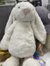 Jellycat害羞乳白色邦尼兔动物毛绒玩偶安抚玩偶娃娃送礼生日礼物 害羞乳白色邦尼兔 Medium 实拍图