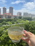 中婺春雨茶叶绿茶浓香特级明前头采嫩芽高山云雾绿茶礼盒装自己喝送礼500g 实拍图