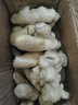 山东新鲜大姜超市生鲜蔬菜老姜即食水果生姜水洗净姜 山东大姜净重1.8斤 实拍图