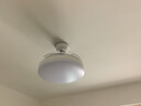 雷士（NVC）led照明风扇灯吊扇灯简约北欧餐厅卧室高显色遥控变频36寸 实拍图