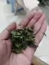 BCM烘干紫花苜蓿草 幼兔兔粮 干草兔子牧草龙猫荷兰猪磨牙饲料750g 实拍图