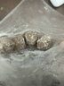 潮兴记汕头牛筋丸250克 火锅食材手打丸子 95%牛肉牛筋含量不含猪肉早餐 实拍图