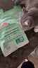 网易严选全价猫粮4.0 成幼猫咪食品虚弱挑食猫滋补营养 乳鸽乌鸡500g试吃 实拍图