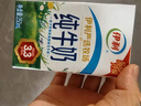 伊利纯牛奶250ml*24盒 优质乳蛋白早餐奶 4月产 实拍图