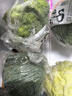 小汤山 西兰花 270g 基地直供新鲜蔬菜GAP认证 实拍图