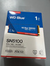 闪迪（SanDisk）ssd固态硬盘 NVMe M.2接口 AI台式机存储 笔记本升级硬盘 原厂颗粒不虚标不掉速 SN5100 | PCle4x4 7100MB/s 大容量 【1TB】 实拍图