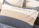 艾薇 A类枕头套纯棉家用全棉单人枕套一对枕芯套 罗马时代 48*74cm 实拍图