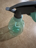 喷壶浇花浇水喷雾器气压式喷水壶家用园艺养花500ml 南瓜喷壶透蓝【1个装】 实拍图