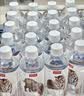 农夫山泉长白山天然矿泉水饮用水长白雪 535ml*24瓶 整箱装 实拍图