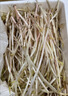 辰实【顺丰速发】鱼腥草新鲜 折耳根叶子 侧耳根节节根蔬菜现挖发 3斤鱼腥草根根【发顺丰】 实拍图