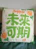 FME 抱枕定制被子靠垫女朋友枕头来图照片定做diy公司logo礼物二次元 光滑亮缎布 35cm*35cm 含枕芯 双面定制买一送一（限35cm亮缎） 实拍图