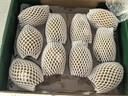 佳沛（zespri）新西兰阳光金奇异果10粒巨大果单果146-175g 猕猴桃水果礼盒 实拍图