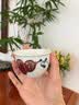 九土青花釉里红茶杯陶瓷家用主人杯品茗杯功夫茶具杯子茶盏 青花釉里红【葫芦款】 实拍图