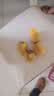 佳沛（zespri）新西兰阳光金果4粒装单果约103-114g 猕猴桃新鲜水果源头直发 实拍图