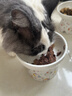凯锐思猫罐头 猫零食猫湿粮红肉罐头幼猫成猫通用170g*8 实拍图