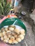 英氏婴幼儿小小馒头牛奶味 婴儿宝宝零食儿童辅食饼干营养奶豆90g 实拍图