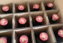 青岛啤酒（TsingTao）小棕金 拉环瓶盖设计 258ml*12瓶 整箱装 实拍图
