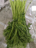 蒿子杆300g(茼蒿） 实拍图