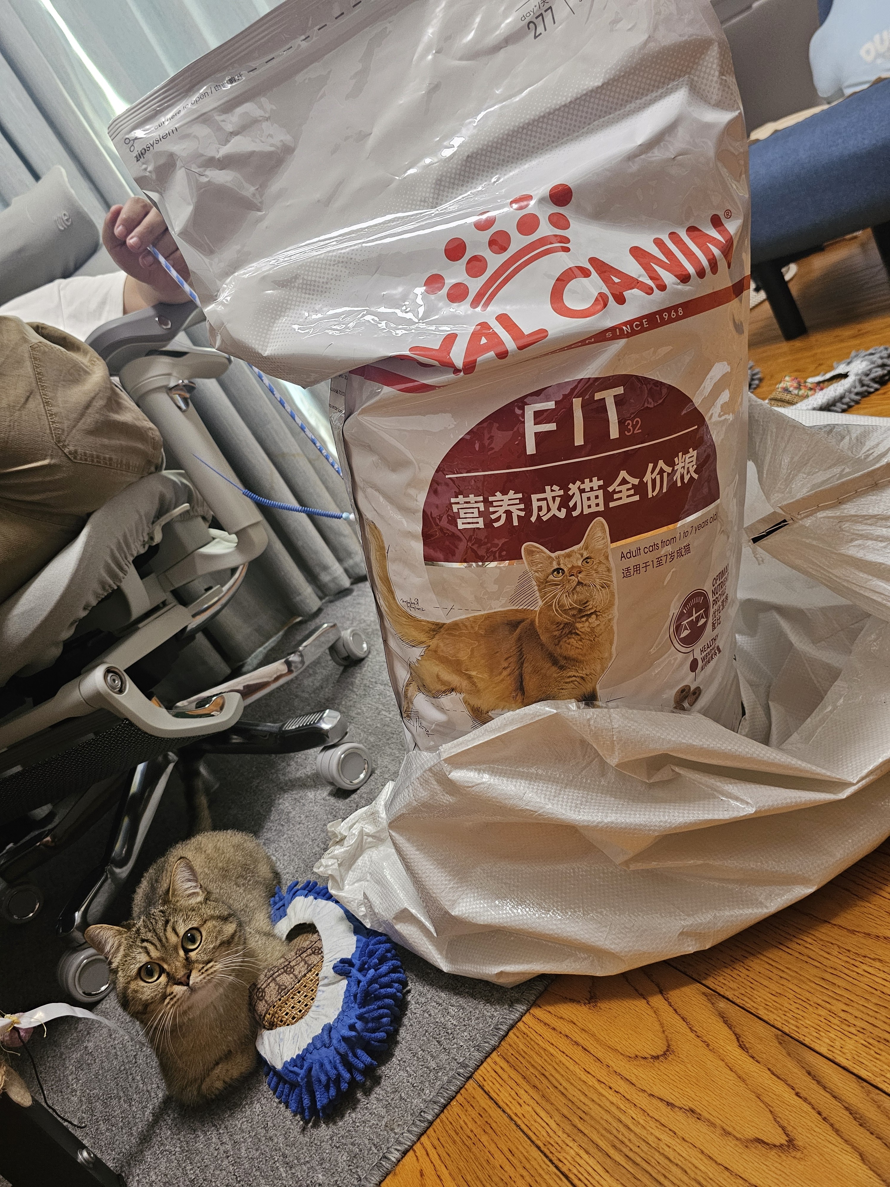 皇家猫粮 成猫猫粮 营养均衡 F32 通用粮 1-7岁 15KG 实拍图