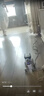 MAILE KID六一电子机器狗智能ai陪伴机器人婴幼儿童宝玩具节生日1-3岁礼物 实拍图