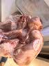 东来顺内蒙古羔羊原切带肉棒骨2斤羊腿手把肉煲汤炖煮烧烤食材 实拍图