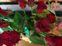 京东鲜花玫瑰花【红色随机】20枝新鲜采摘山东基地日常礼品花暖心源头直发 实拍图