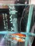鱼呼吸鱼缸增氧气泵配件直径6cm【纳米沙盘*2个】加泡细化溶氧饼石家用 实拍图