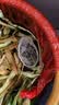 Jidaocook水槽过滤网弹力袋口厨房洗菜盆一次性漏网水池网兜下水 （200只）加厚款一次性过滤网 实拍图