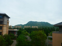 松下（Panasonic）Lumix G100D M43画幅相机 M43卡口 微单相机 无反数码相机 G100D+【12-60mm白盒】单镜套装 实拍图