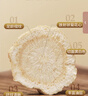 雷允上加拿大进口特级西洋参片100g*2约2-3cm正宗花旗参片送长辈父母 实拍图