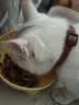 皇家猫粮 成猫猫粮 户外成猫 O30 通用粮 12月以上 4KG 实拍图