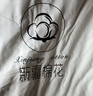 曼克顿（MANKEDUN）26款A类里外纯棉全棉夏季薄新疆棉花夏被空调被夏凉被可机洗裸睡 棉白+灰【100%新疆棉 假一罚十】 150*200cm【大牌品质 平替首选 0溢价】单人被 实拍图