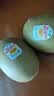 佳沛（zespri）新西兰阳光金奇异果 8个装 超大果单果重约175-204g 猕猴桃水果 实拍图