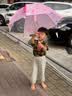 牧萌儿童雨伞宝宝防晒遮阳太阳伞晴雨两用便携直柄伞 粉色公主恐龙 实拍图