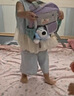 SHUKIKU乐兜兜儿童公仔双肩包幼儿园书包小学生防泼水背包 海盐茄紫 S+ 实拍图