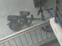 永久新国标代驾折叠电动车超长续航 锂电池电瓶助力自行单车轻便迷你小型男女士代步上班用可放后备箱 避震顶配-22减震-松下S级电芯-纯电≥90km 实拍图