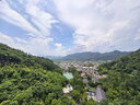 三棵树漆瓷砖空鼓修复胶注射强力粘合剂地板地砖专用修复瓷砖修补剂 650ml 实拍图