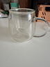 GLASSLOCK水杯双层玻璃杯家用茶杯耐冷热带把手防烫办公室隔热咖啡杯290ml 实拍图